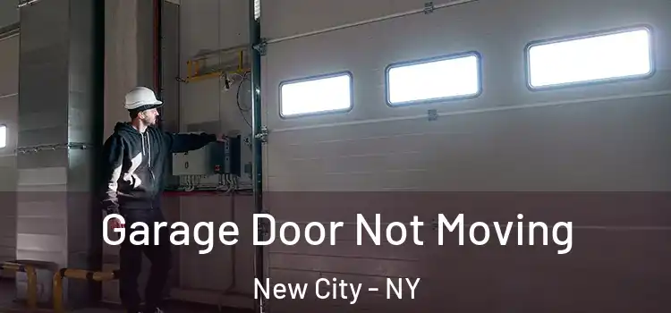  Garage Door Not Moving New City - NY