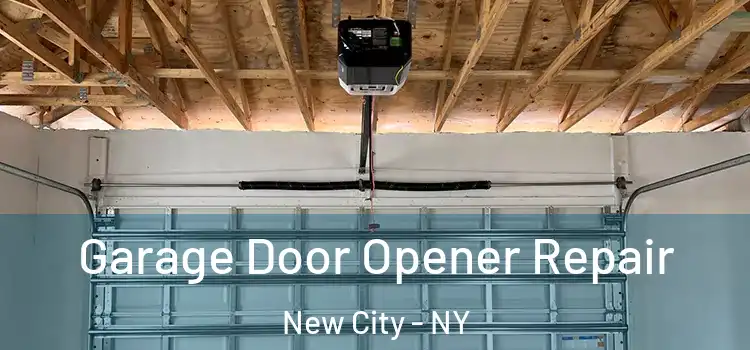  Garage Door Opener Repair New City - NY