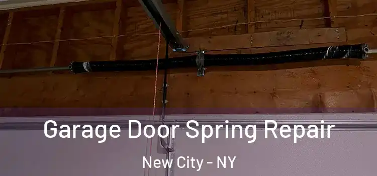  Garage Door Spring Repair New City - NY