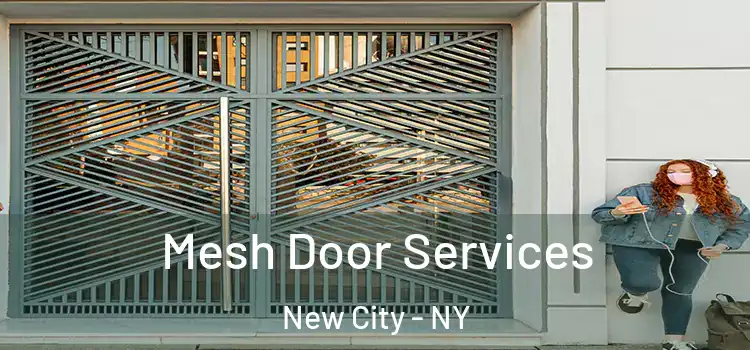 Mesh Door Services New City - NY