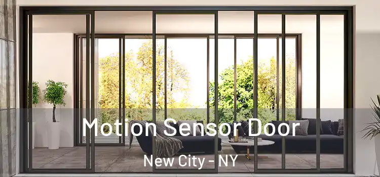  Motion Sensor Door New City - NY